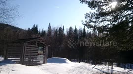 human's print on the forest