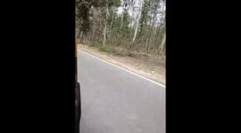 A Jim Corbett National Park Uttarakhand Trip Video shot in Auto Three Wheeler ,Here looking a amazing Jim Corbett National Park forest  in this video
