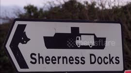 Mysterious cat stickers appearing on road signs in Kent, southeastern England