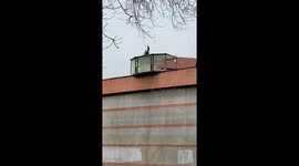 protest in milan prison