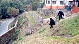 Indian cops dress up in bear suits to scare off menacing monkeys