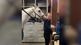 Meet the caring horse that loves to give his human friends neck rubs