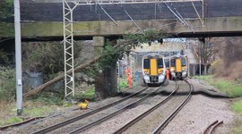 London trains brought to standstill by tree that had fallen onto overhead wires