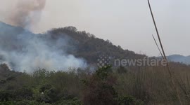 Baby bear with wounded arm rescued from mountain grass fire in Thailand