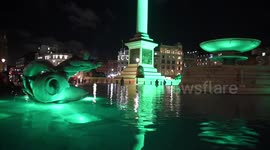 Nelson's Column In Trafalgar Square Lights Up Ready For St. Patrick's Day