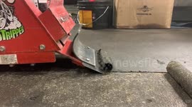 20 years worth of grime scraped from factory floor looks like 'rolled ice cream'