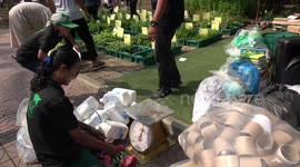 Is this the future of recycling? Bangkok scheme will swap your plastic for PLANTS