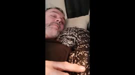 'Cold blood, warm heart': Giant lizard wants some TLC from human owner