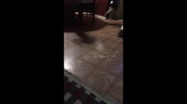 Sweetness turn into war