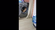 temp