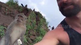 Monkey grabs tourist as he poses for picture with the animal