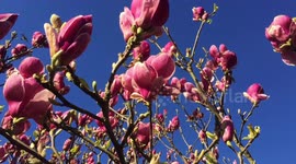 Calming view of a perfect Spring day in Cornwall