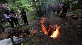 Hundreds of bats burned in Indonesia in bid to prevent coronavirus spread
