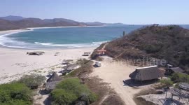 Couple convert van into home and travel across continents with their two dogs