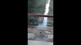 venice transparent canal water