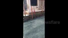 Venice canal water appears clearer as coronavirus keeps tourists away