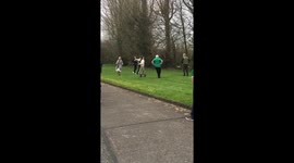 Social distant St. Patrick's Day celebration in Ireland amid COVID-19 restrictions