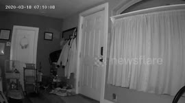 Rabbit's reaction to 5.7 magnitude Utah Earthquake