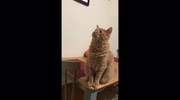temp