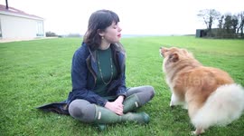 Singer says her dog has found its voice by performing opera