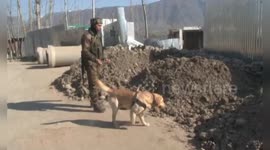 Indian Army defuses suspected IED planted on road in northern India