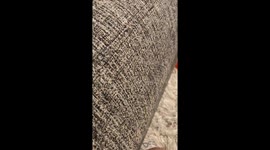 Nap time with sissy.