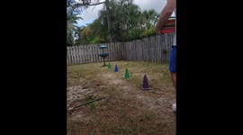 Disc Golf accomplishment for when sports are slow