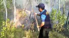 Soldiers battle to contain blaze tearing through forests in southern Thailand