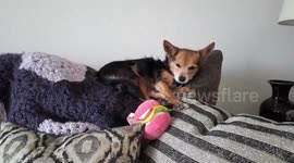 Coronavirus: Quarantine Boredom