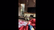 temp