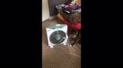 temp
