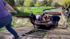 UK city's famous punts are being taken off the river for the first time ever due to COVID-19 fears