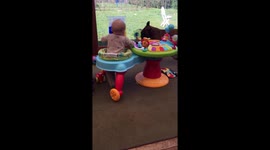 Baby and Dog play tag