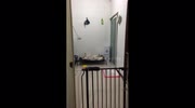 temp