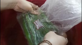 Food preservation hack using plastic bags in water