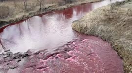 Etobicoke Blood Creek