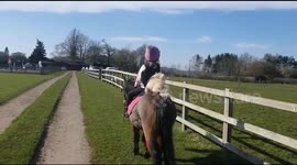 Millie & Blossom 1 form of exercise together. Lockdown.