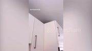 temp