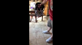 Gym and Playground all in one