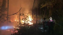 Air pollution hits 20 times safe level as bushfires ravage northern Thailand