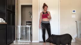 Newsflare Edit - Pig Squats