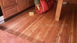 Quarantine takes its toll on this Norwegian grandmother who pretends to be a snail