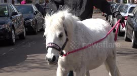 Ponies make house calls to families in isolation in London
