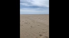 Sailing ships during quarantine Pacific Ocean Venice Beach shoreline