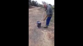 The relocation of a highly venomous Puff Adder snake found near the homestead
