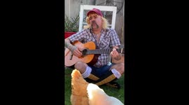 Netflix announces Tiger King 2: Watch San Diego man dressed as Joe Exotic sing to his chickens