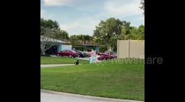 Walking the dogs unicorn style!