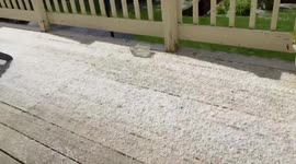 Hail storm hits Portland during a sunny day in quarantine