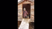 temp