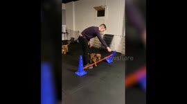 Funny Dog Moments Compilation